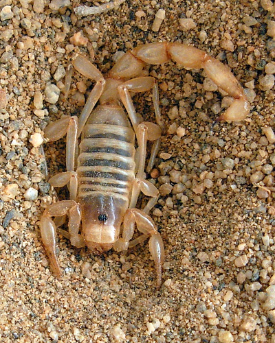 1783481290_9507998e22