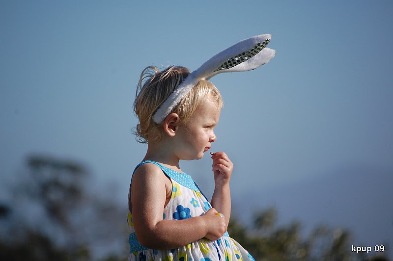 DSC_0150.JPG DSC_0150.JPG