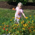DSC_0195 DSC_0195
