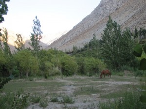 IMG_5882